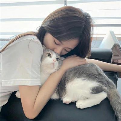 沙漠里的流浪者