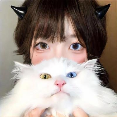 完美父母