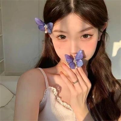 毛丰美